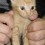 71096_Chama Ramone