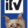 Los sábados, ITV gratis para tu mascota
